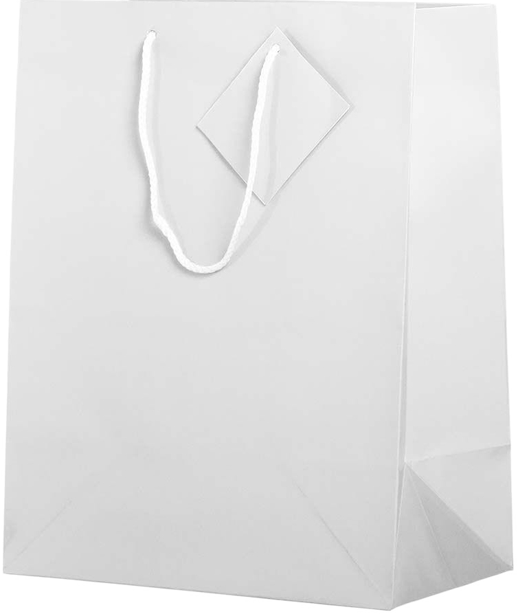 Assorted Large Glossy Gift Bags (10 x 13 x 5) - 6 Pack
