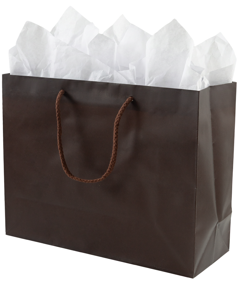Chocolate Brown Large Matte Gift Bags (13 x 10 x 5)