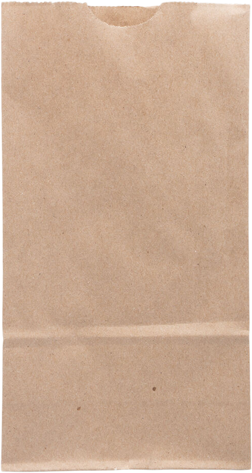Brown Kraft Small Paper Lunch Bags (4 1/4 x 8 x 2 1/4) - 25 Pack