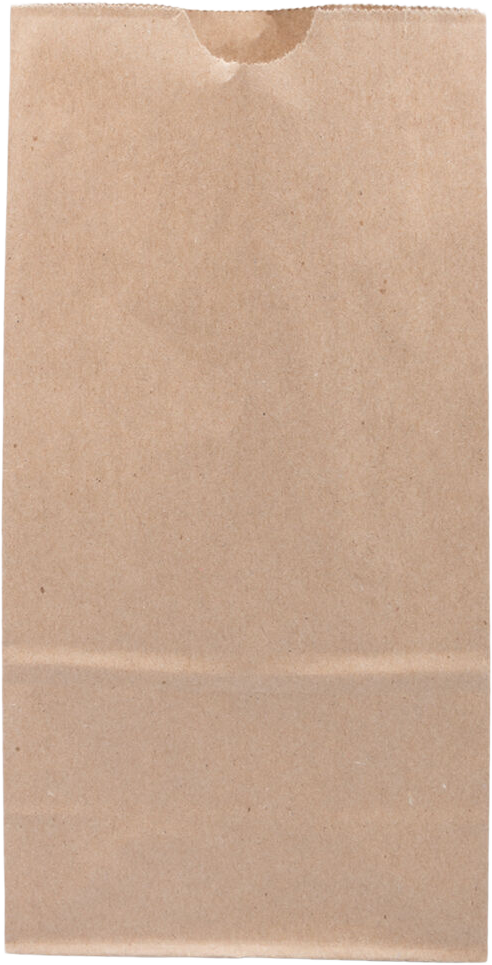 Brown Kraft Medium Paper Lunch Bags (5 x 9 3/4 x 3) - 25 Pack