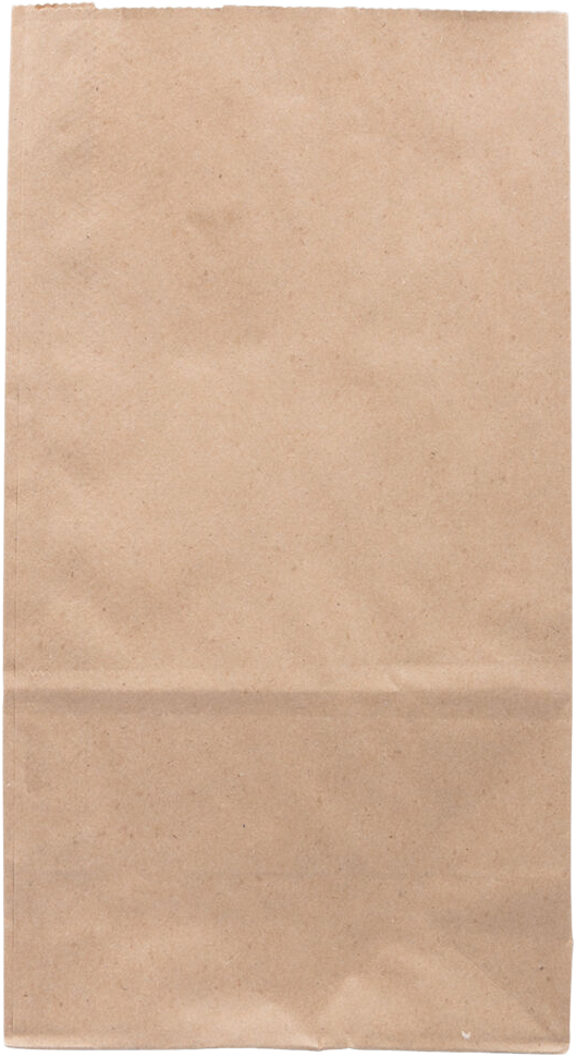 Brown Kraft Paper Lunch Bags - Large - 6 x 11 x 3 1/2 - 25 Pack