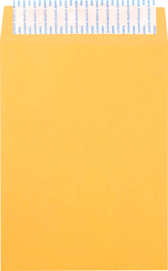 Brown Kraft 28lb 6 1/2 x 9 1/2 Open End Envelopes with Peel & Seal