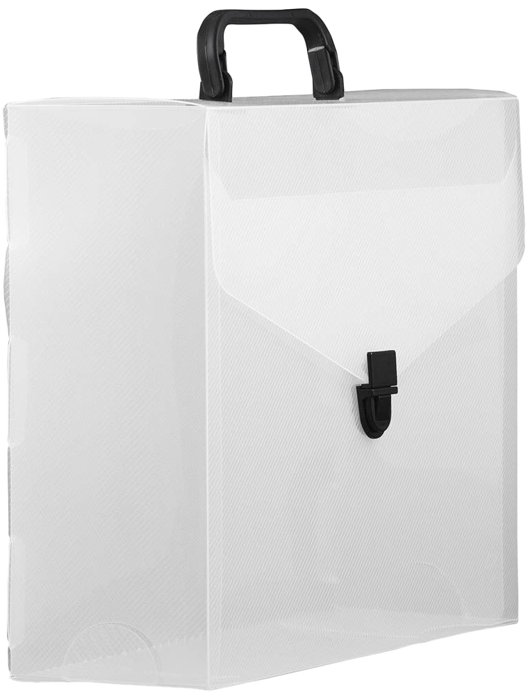 Clear 10 x 12 x 4 Plastic Carry Cases with Black Buckle