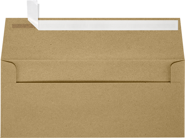 Grocery Bag 28lb #9 Slimline Square Flap Envelopes (3 7/8 x 8 7/8) with Peel & Seal