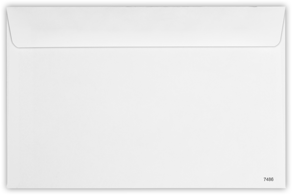 White with Security Tint 24lb W-2 /1099 Double Window Envelopes (5 3/4 x 8 7/8)