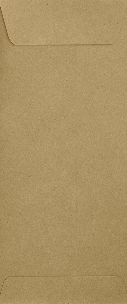 Grocery Bag 28lb #10 Policy Envelopes (4 1/8 x 9 1/2) with Peel & Seal