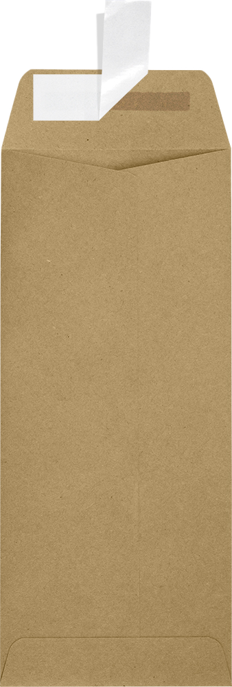 Grocery Bag 28lb #10 Policy Envelopes (4 1/8 x 9 1/2) with Peel & Seal