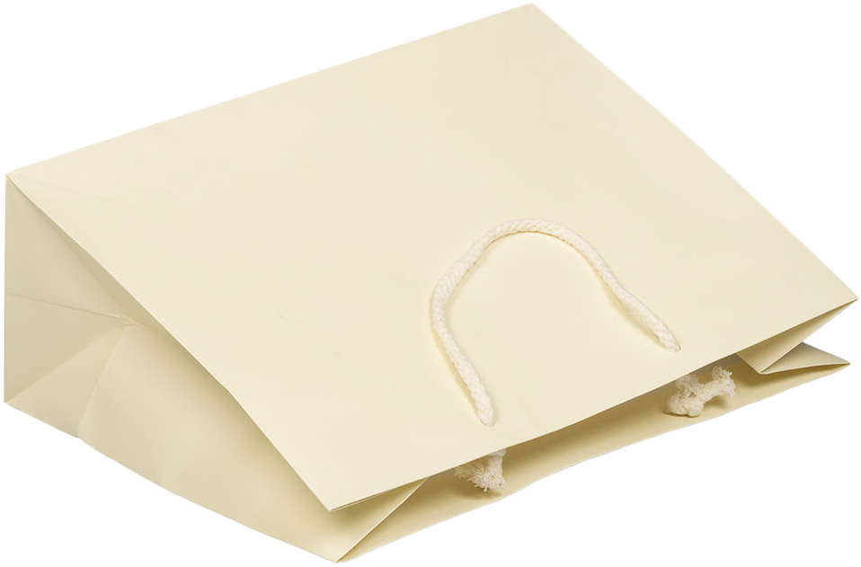 Ivory Large Matte Horizontal Gift Bags (13 x 10 x 5)