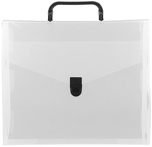 Clear 10 x 12 x 4 Plastic Carry Cases with Black Buckle