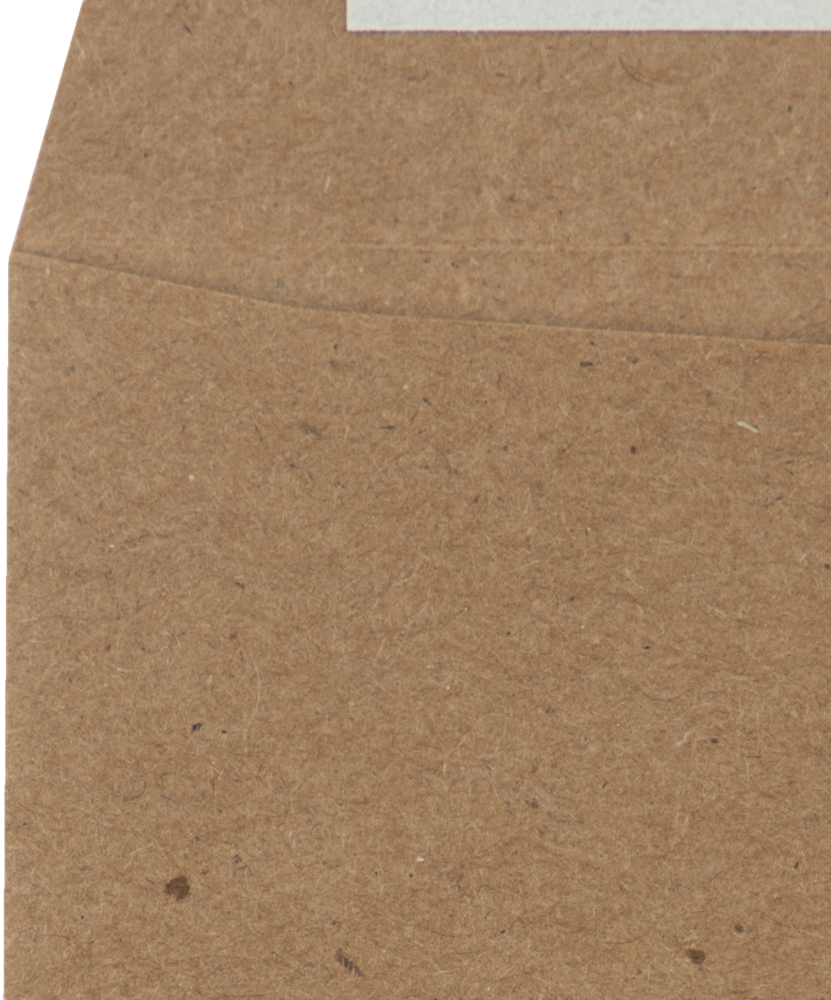 Grocery Bag 28lb #7 Coin Envelopes (3 1/2 x 6 1/2) with Peel & Seal
