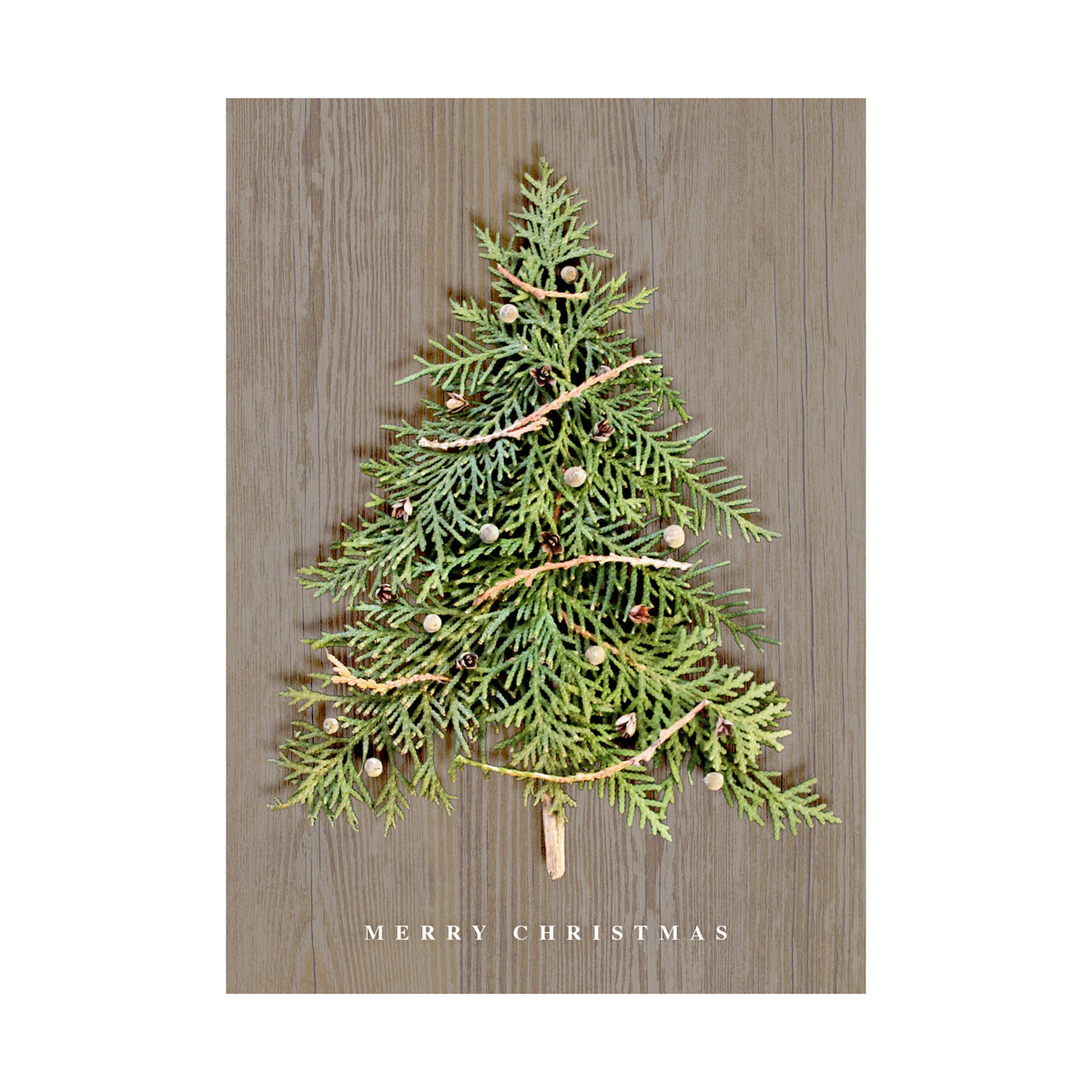 Nature Tree 80lb 5 x 7 Foldover Card Set