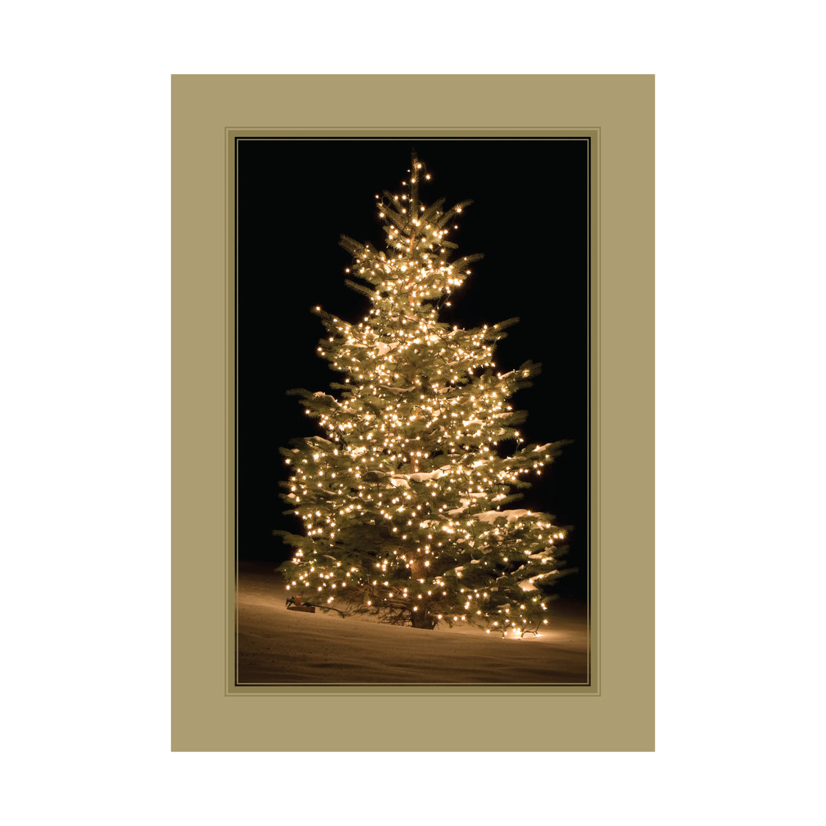 Frosted Elegance 80lb 5 x 7 Foldover Card Set