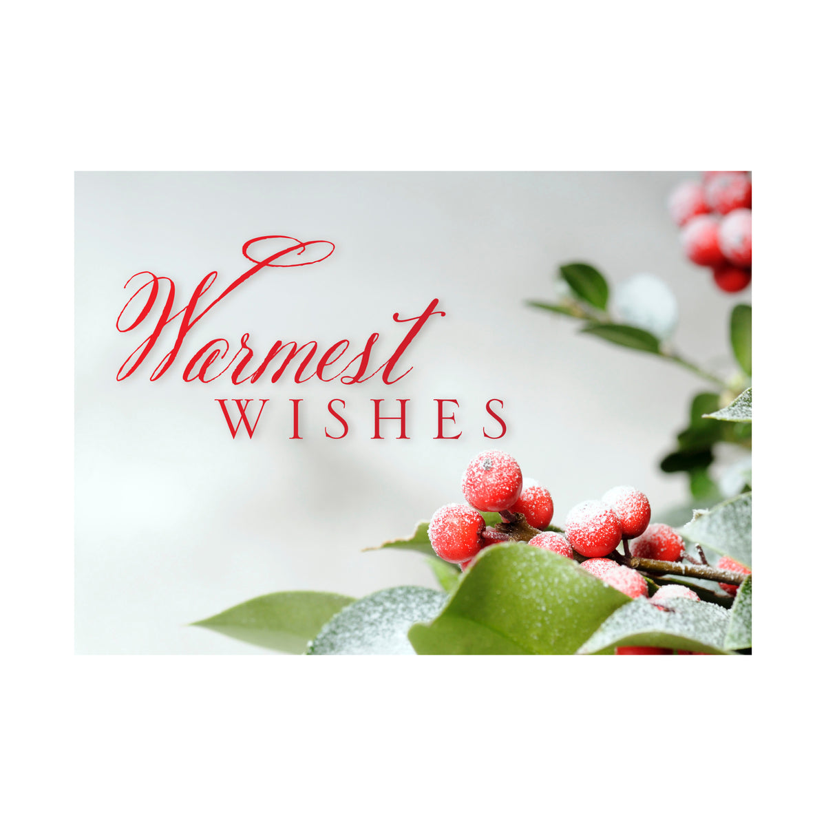 Frosted Greenery 80lb 7 x 5 Foldover Card Set