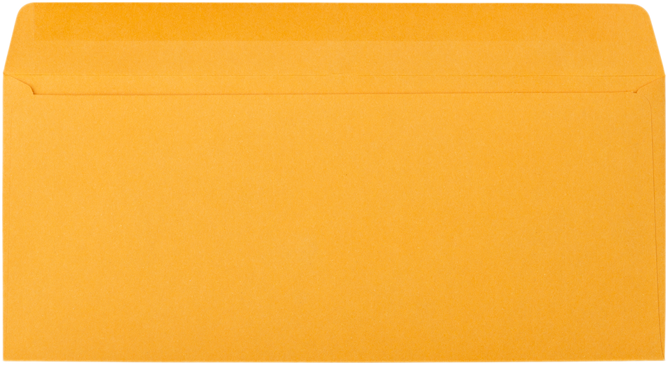 Brown Kraft 28lb #12 Regular Envelopes (4 3/4 x 11)