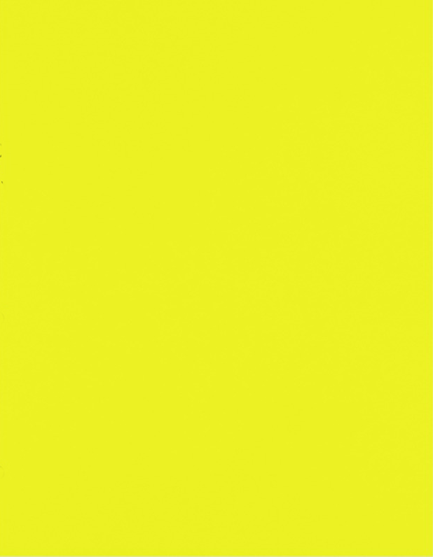 Citrus Yellow 32lb 8 1/2 x 11 Paper