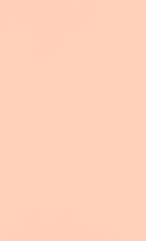 Blush Pink 32lb 8 1/2 x 14 Paper