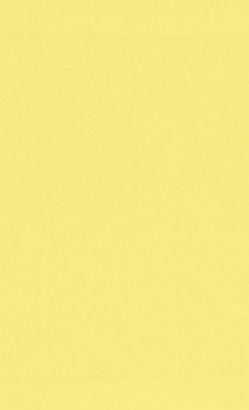 Pastel Canary 24lb 8 1/2 x 14 Paper