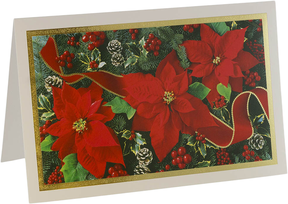 Red Flowers A8 size Christmas Cards - 10 Pack
