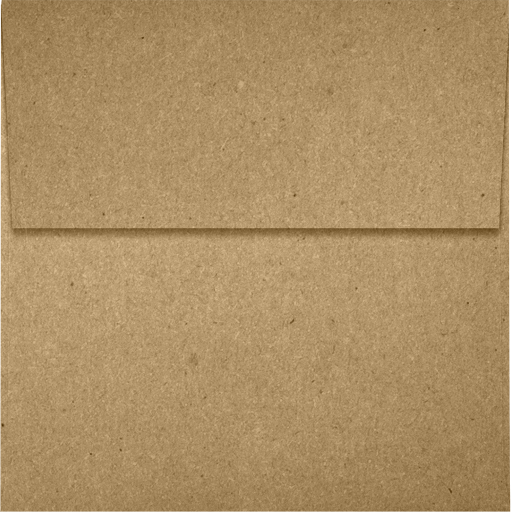 Grocery Bag 28lb 4 x 4 Square Envelopes with Peel & Seal