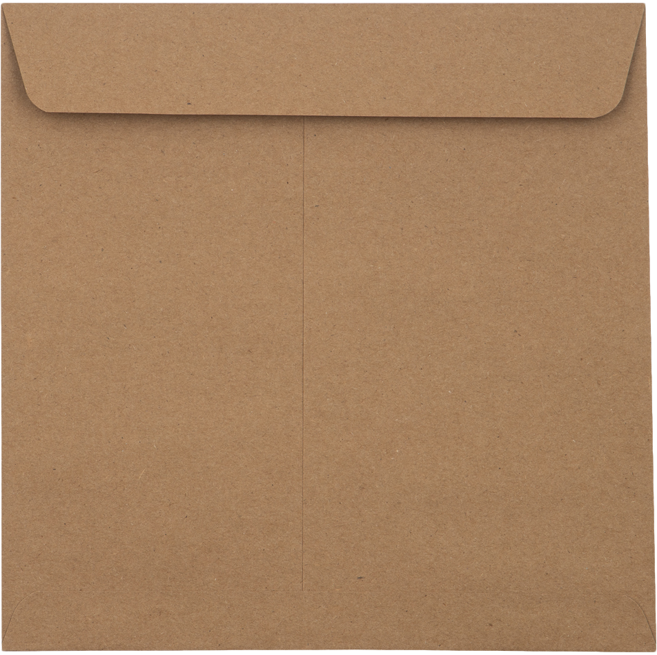 Grocery Bag 28lb 8 x 8 Square Envelopes with Peel & Seal
