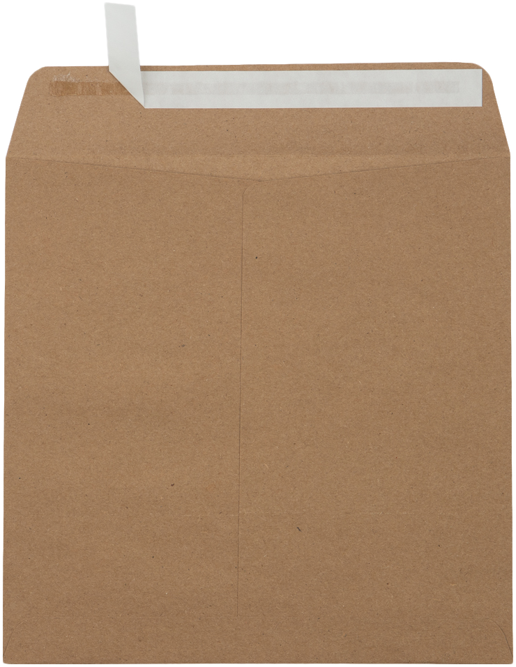 Grocery Bag 28lb 8 x 8 Square Envelopes with Peel & Seal