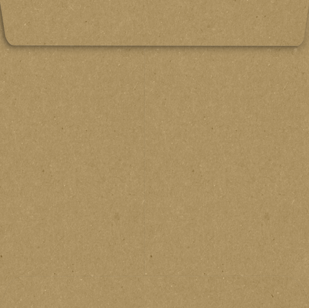 Grocery Bag 28lb 9 x 9 Square Envelopes with Peel & Seal