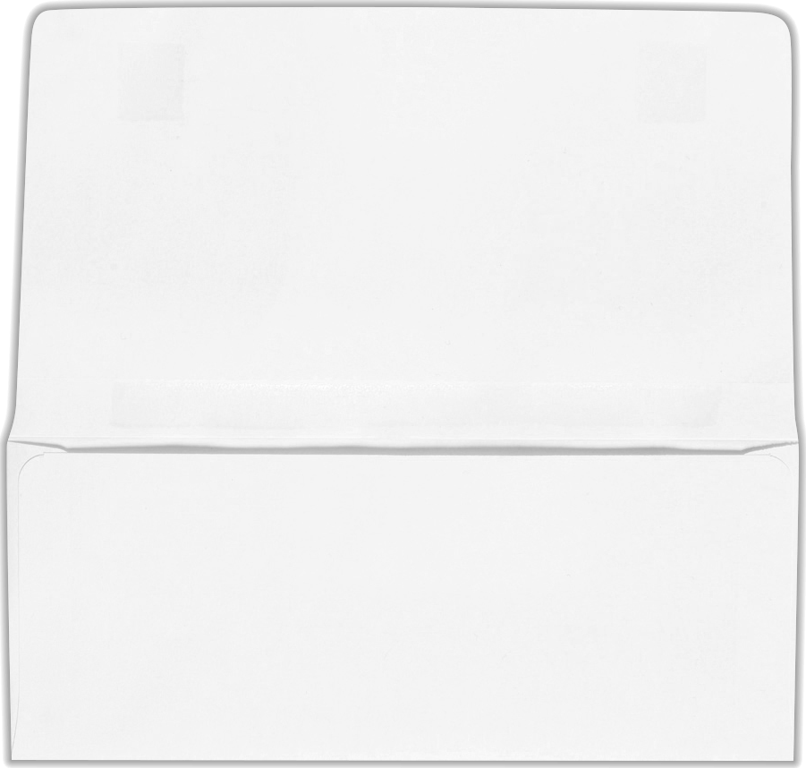 White Remittance 24lb 2-Way Envelopes (4 1/4 x 8 7/8 Closed)
