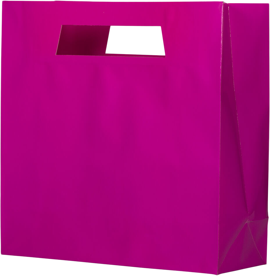 Fuchsia Large Glossy Gift Bags with Die-Cut Handles (15 x 15 x 5 1/2)