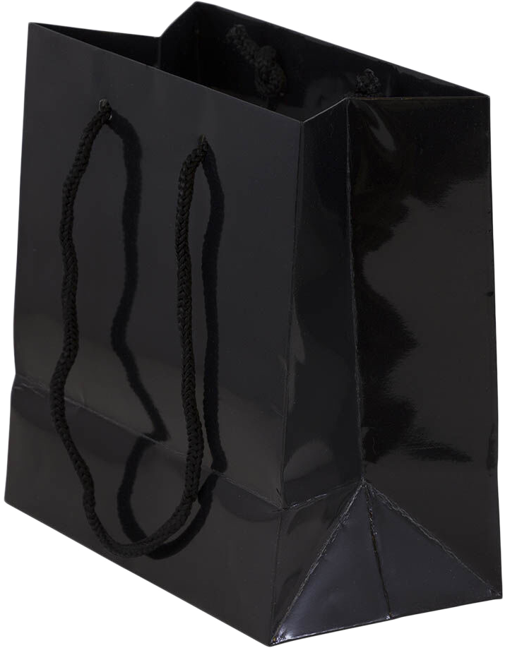 Black Small Glossy Gift Bags (6 1/2 x 6 1/2 x 3 1/2)