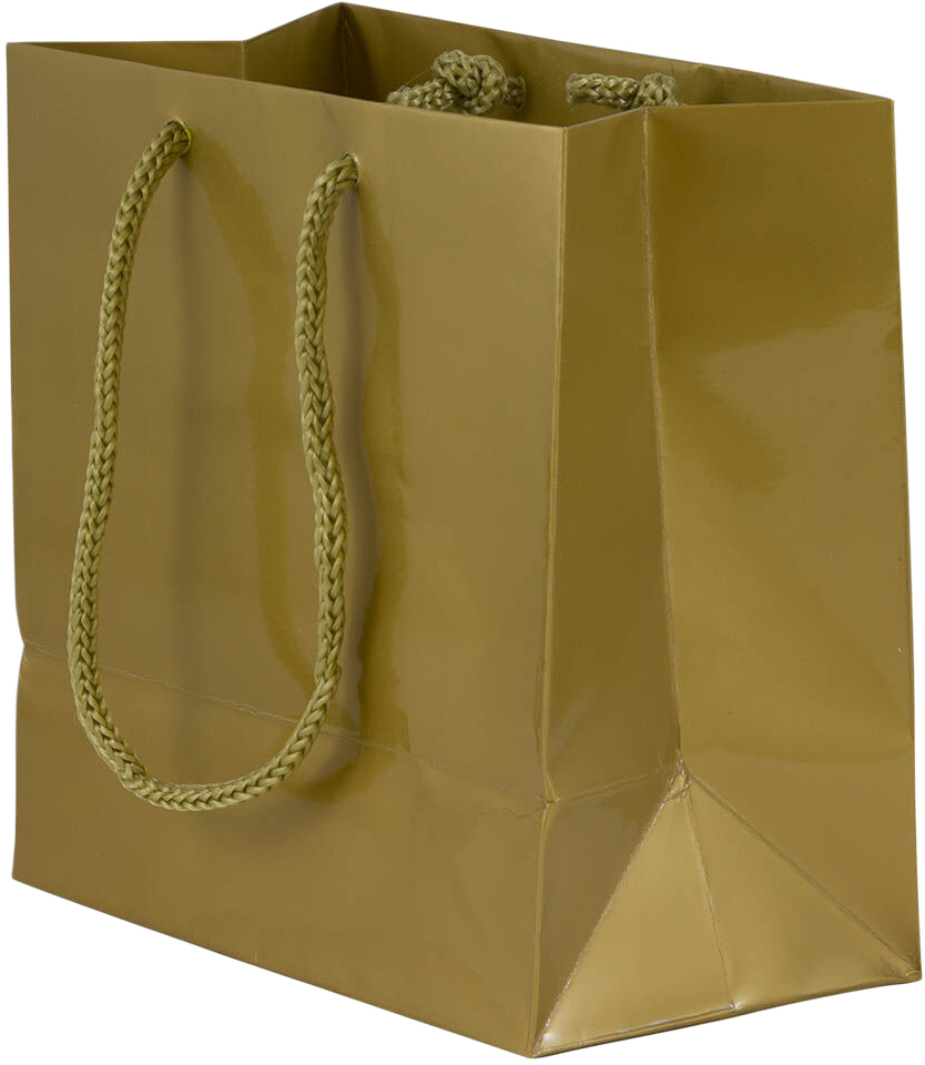 Gold Small Glossy Gift Bags (6 1/2 x 6 1/2 x 3 1/2)