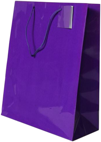 Purple Large Glossy Gift Bags (10 x 13 x 5)