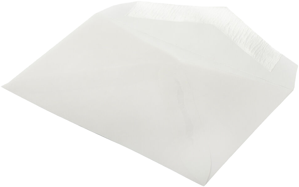 Clear Translucent 28lb #63 2Pay Envelopes (2 1/2 x 4 1/4)