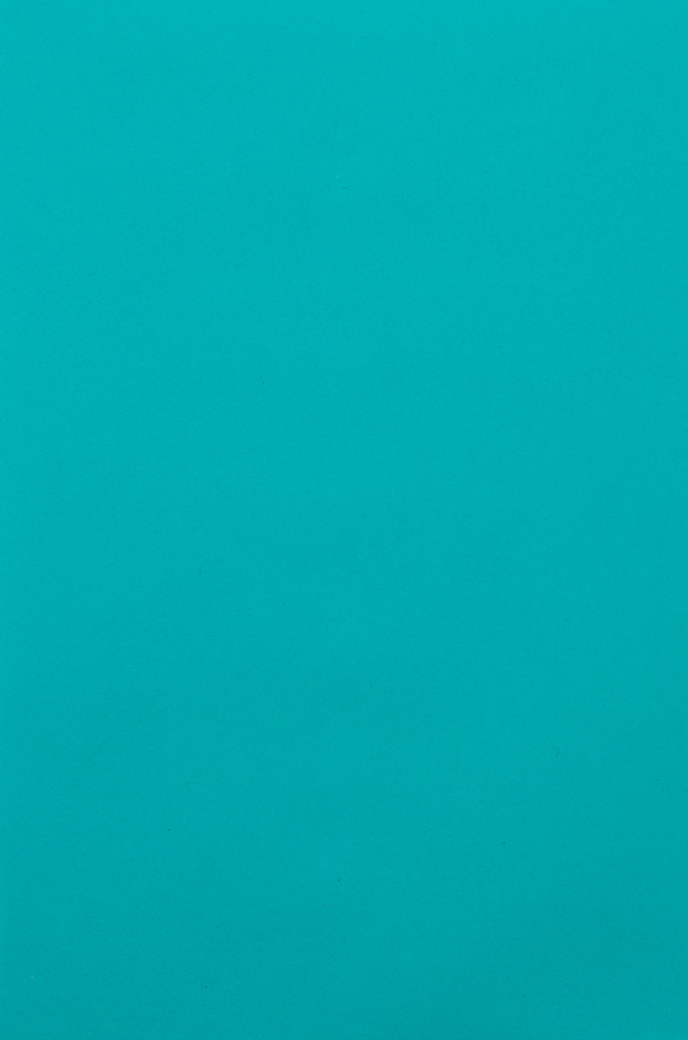 Sea Blue 24lb 6 x 9 Open End Envelopes with Clasp