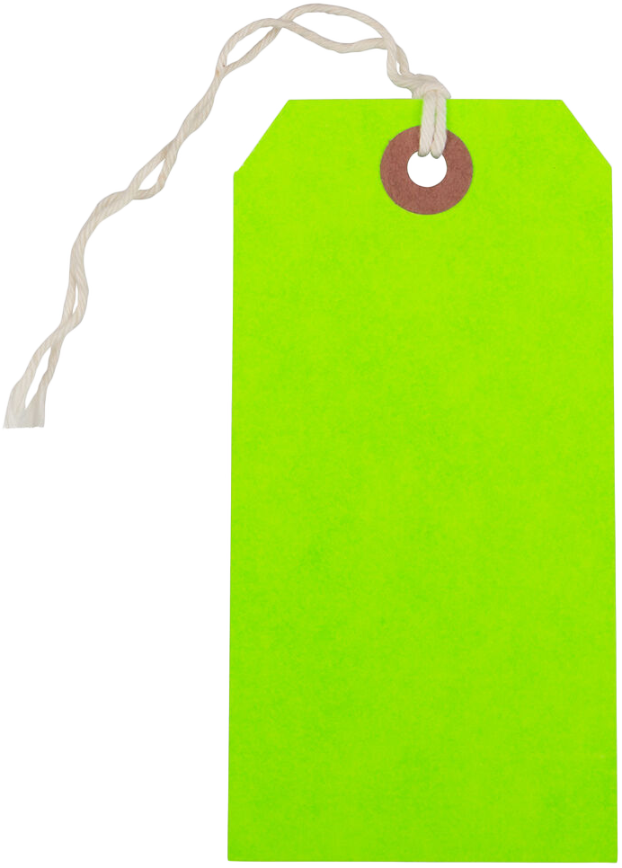 Neon Green Medium Gift Tags (4 1/4 x 2 3/8) - 10 Pack