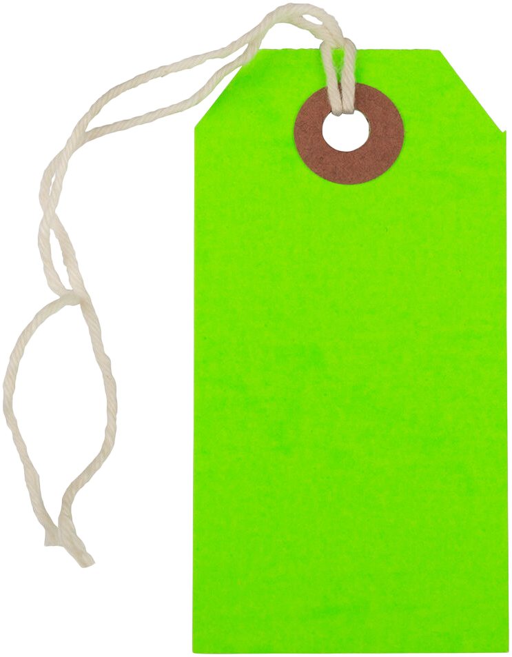 Neon Green Small Gift Tags (3 1/4 x 1 5/8) - 10 Pack