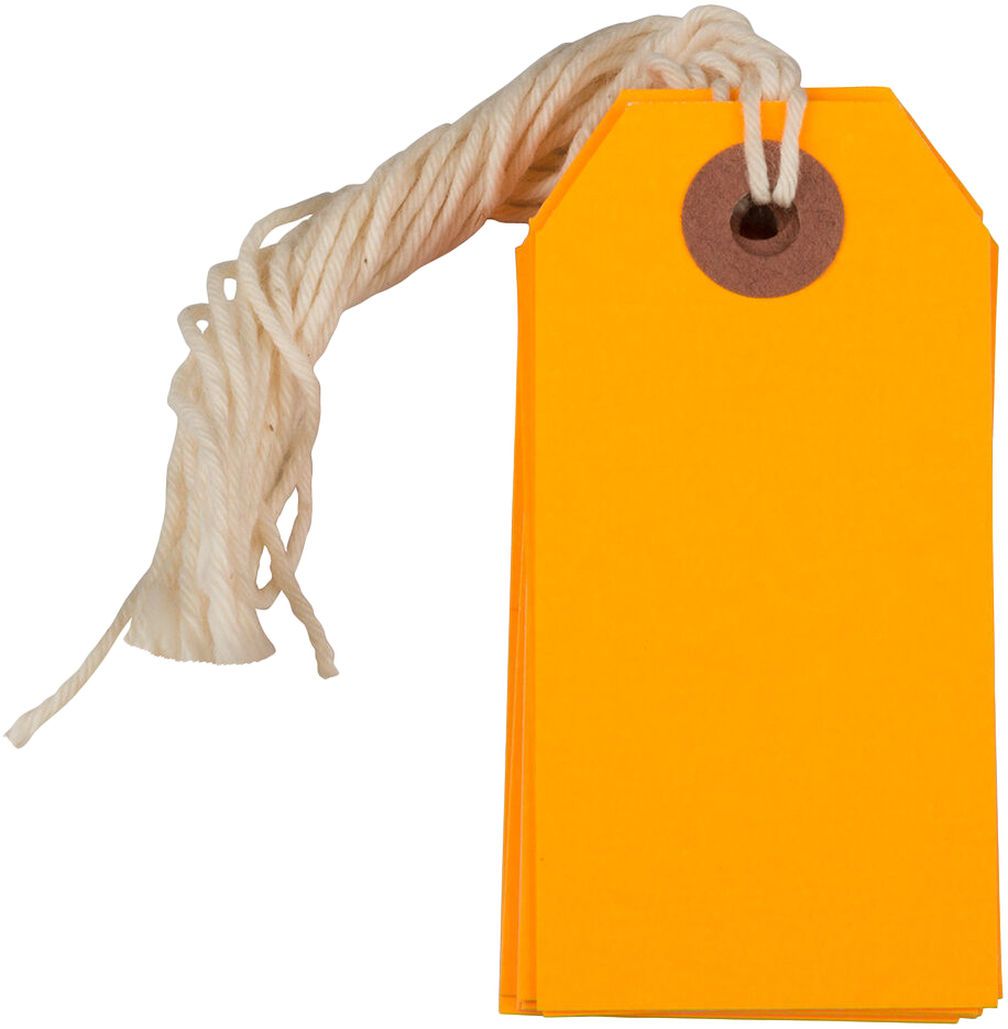 Neon Orange Small Gift Tags (3 1/4 x 1 5/8) - 10 Pack