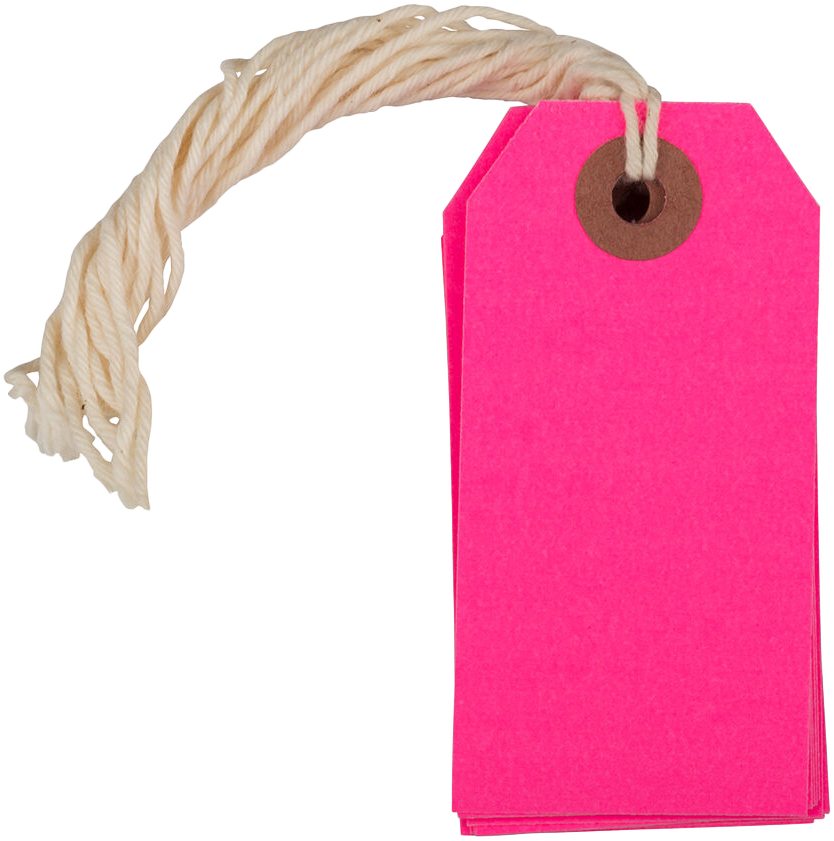 Neon Pink Small Gift Tags (3 1/4 x 1 5/8) - 10 Pack
