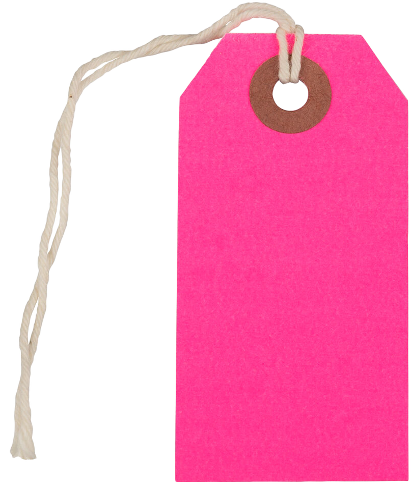 Neon Pink Small Gift Tags (3 1/4 x 1 5/8) - 10 Pack