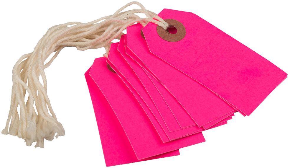 Neon Pink Tiny Gift Tags (2 3/4 x 1 3/8) - 10 Pack