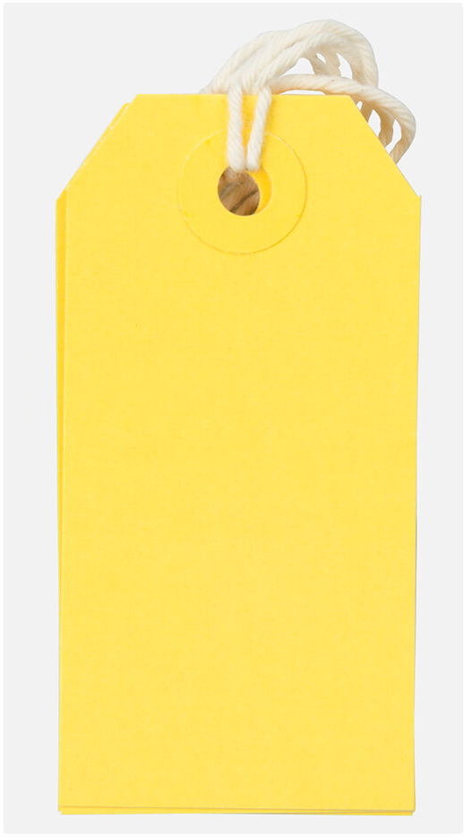 Yellow Small Gift Tags (3 1/4 x 1 5/8) - 10 Pack