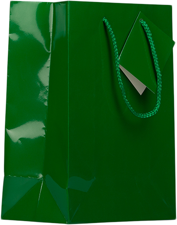 Green Medium Glossy Gift Bags (8 x 10 x 4)