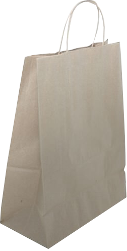 Brown Kraft X-Large Gift Bags (12 5/8 x 15 1/2 x 6)