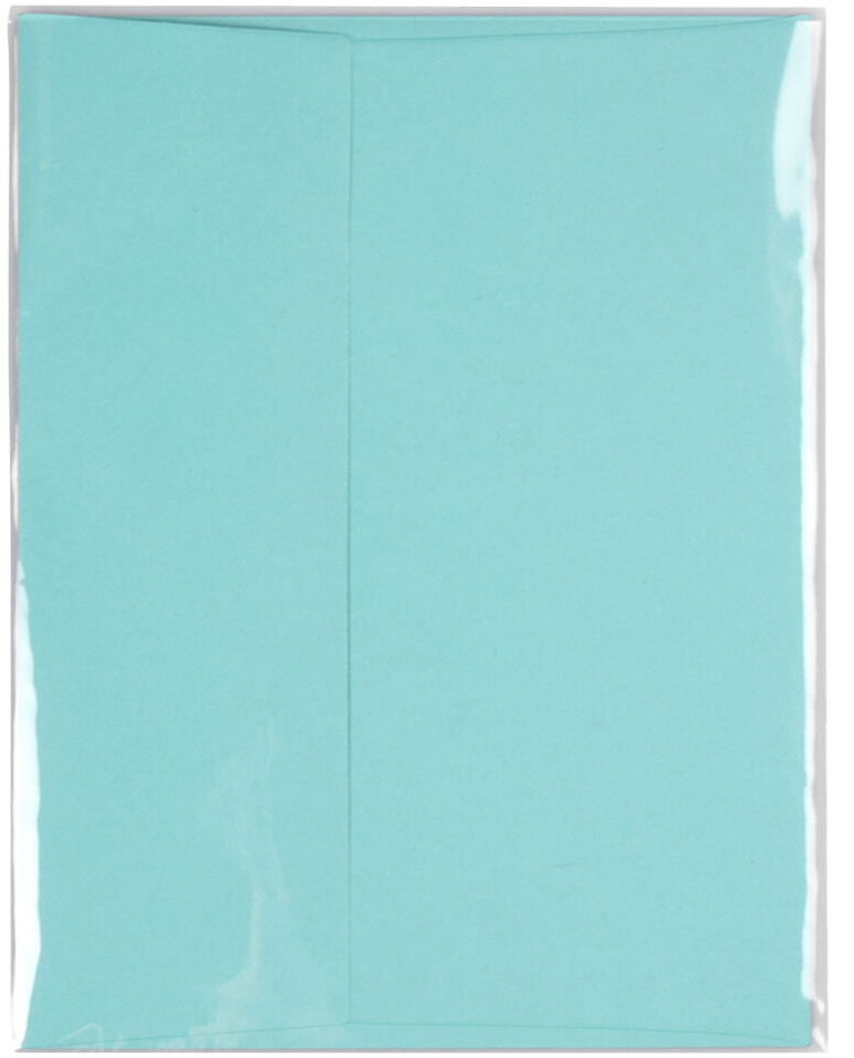 Clear 1.6mil 4 5/8 x 5 7/8 Cello No Flap Envelopes