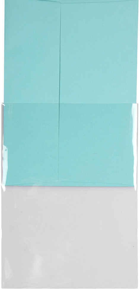 Clear 1.6mil A6 Invitation Cello No Flap Envelopes (4 3/4 x 6 1/2)