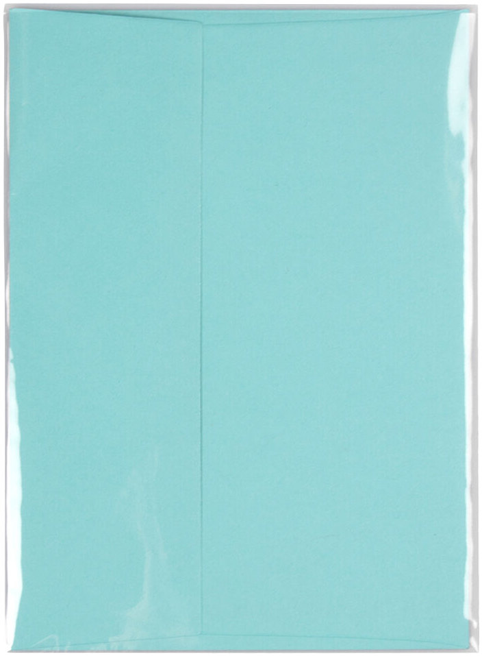 Clear 1.6mil A6 Invitation Cello No Flap Envelopes (4 3/4 x 6 1/2)