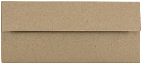 Grocery Bag 28lb #10 Square Flap Envelopes (4 1/8 x 9 1/2)