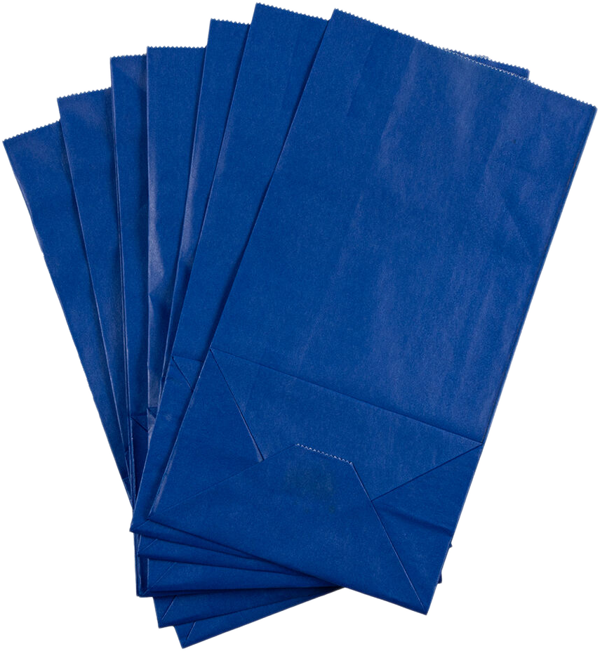 Blue Medium Lunch Bags (5 x 9 3/4 x 3)