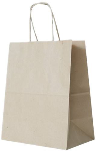 Brown Kraft Large Gift Bags (10 x 13 x 5)