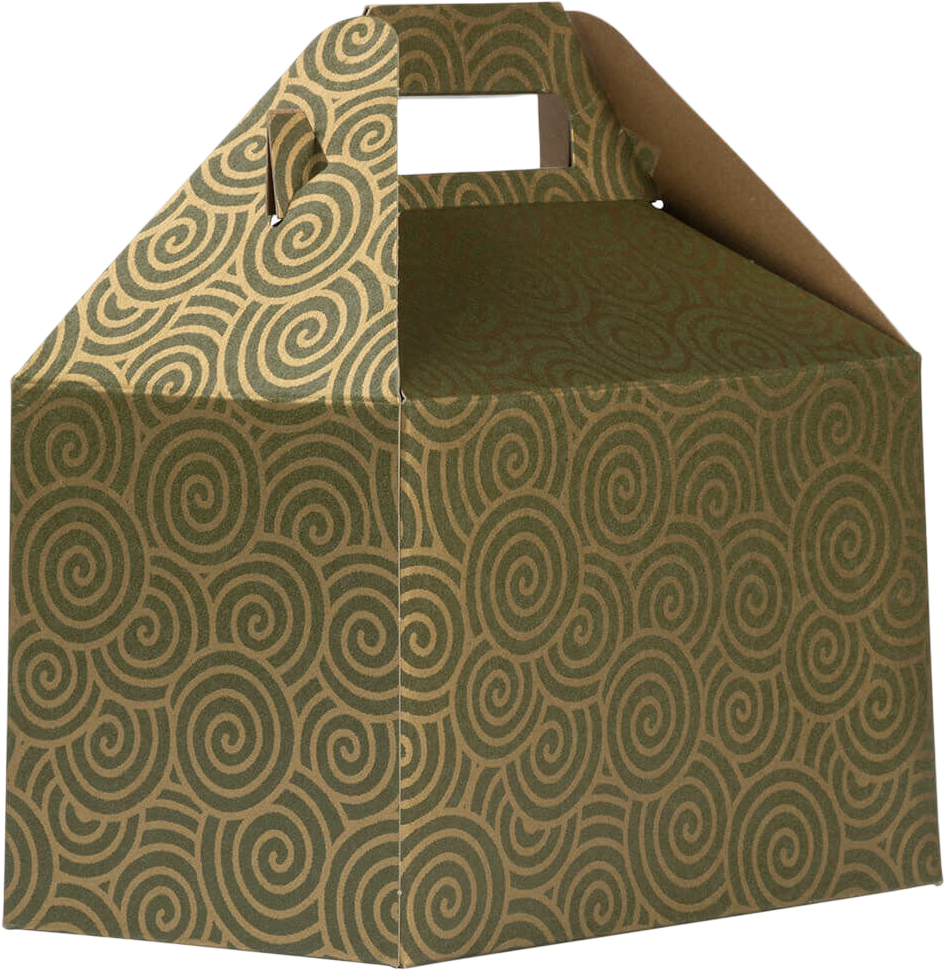 Green with Gold Swirl Medium Gable Gift Boxes (4 x 8 x 5 1/4)