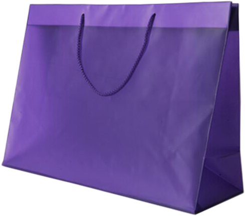 Violet Brite Hue X-Large Horizontal Shopping Bags (15 x 12 x 6)